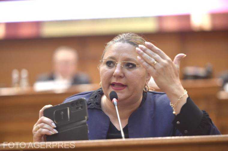 Diana Șoșoacă în fața tribunalului, în timpul procesului