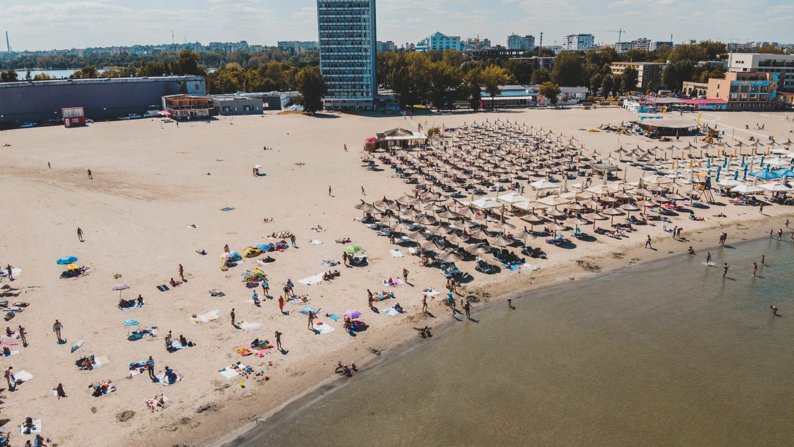 Plajă degradată în Mamaia, pescăruși și nisip distrus