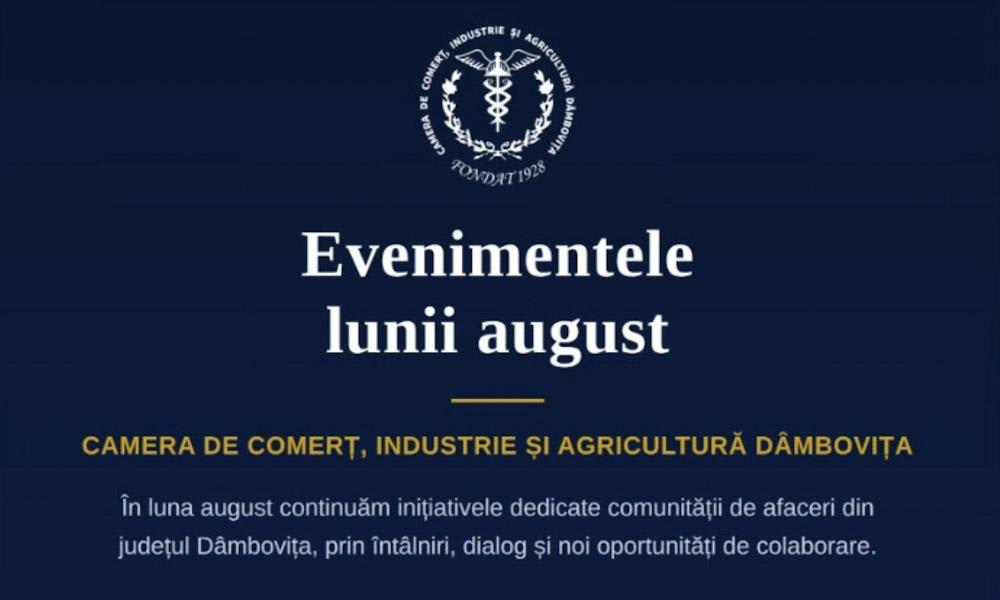 Antreprenori participând la evenimente de networking în Dâmbovița
