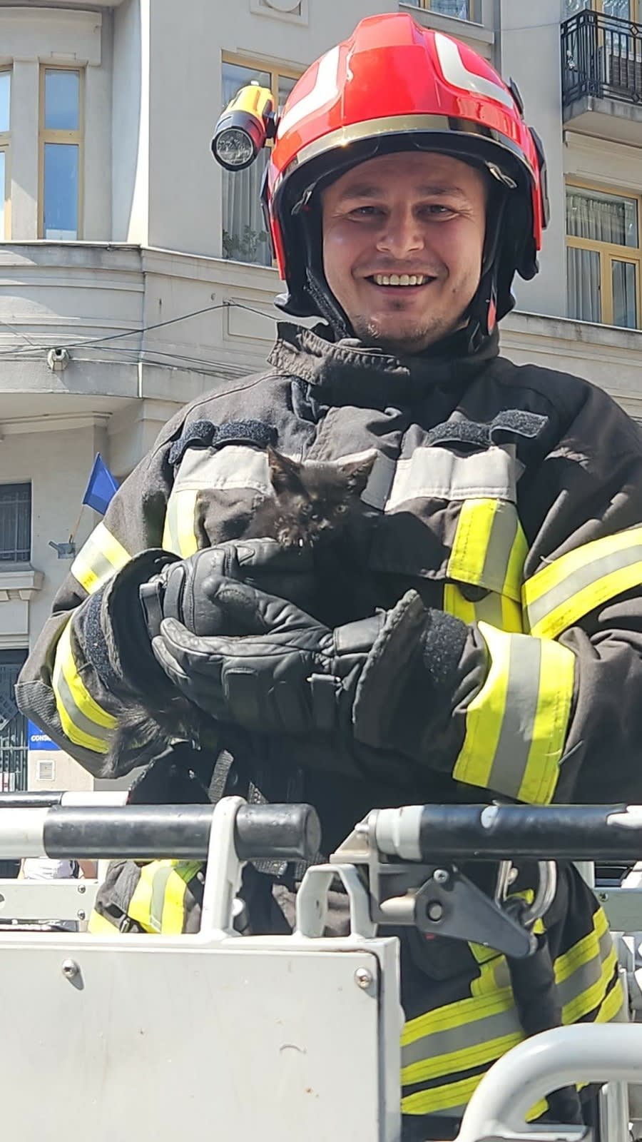 Pompieri salvând o pisică de pe acoperișul Prefecturii din Craiova