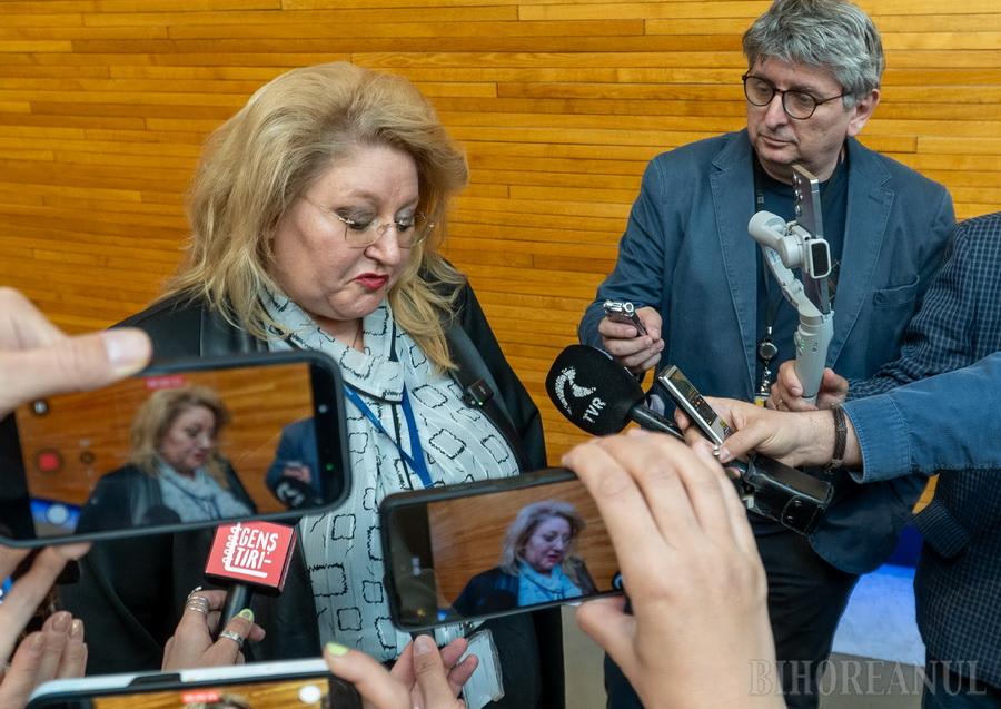 Diana Șoșoacă în sala de judecată, proces penal