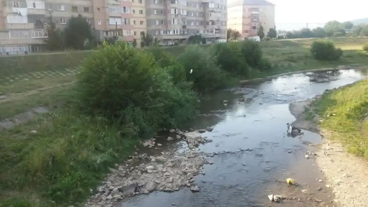 Femeie agresată în spațiu public, victime, judecătorie Alba