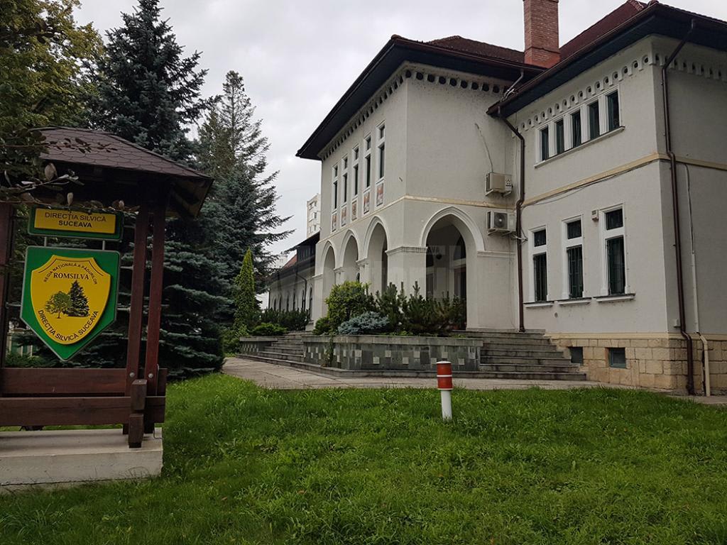 Reabilitare drum forestier în Suceava