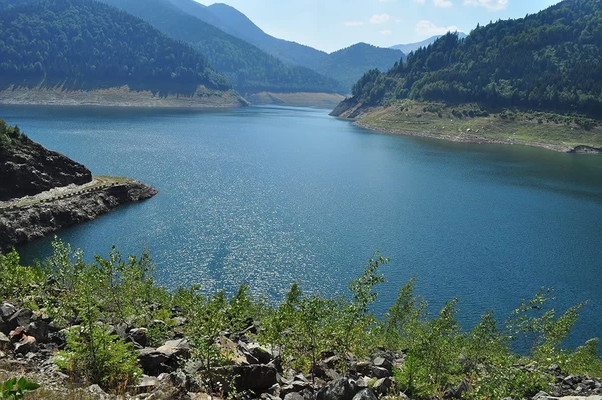Solarii moderne de căpșuni în România, tehnologie avansată, culturi aromate