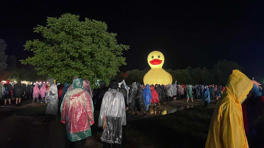 Vânt puternic și ploi torențiale peste județul Cluj