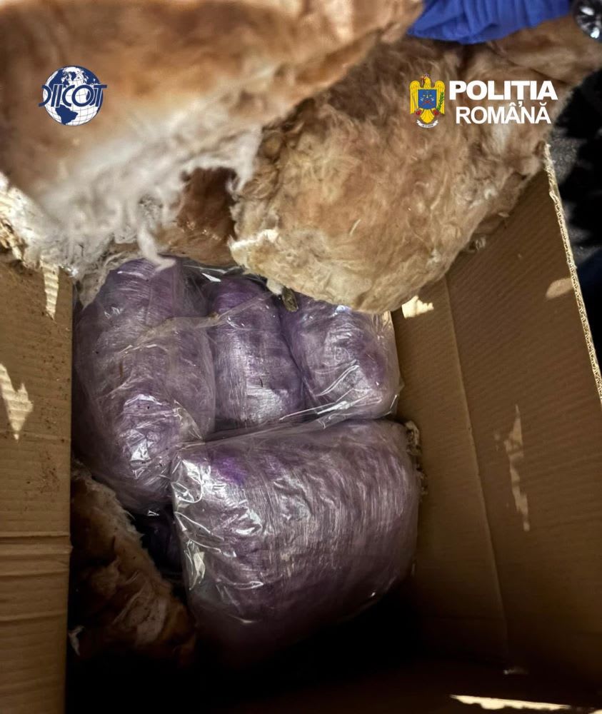 Polițiști în acțiune în timpul unei operațiuni antidrog în Vrancea