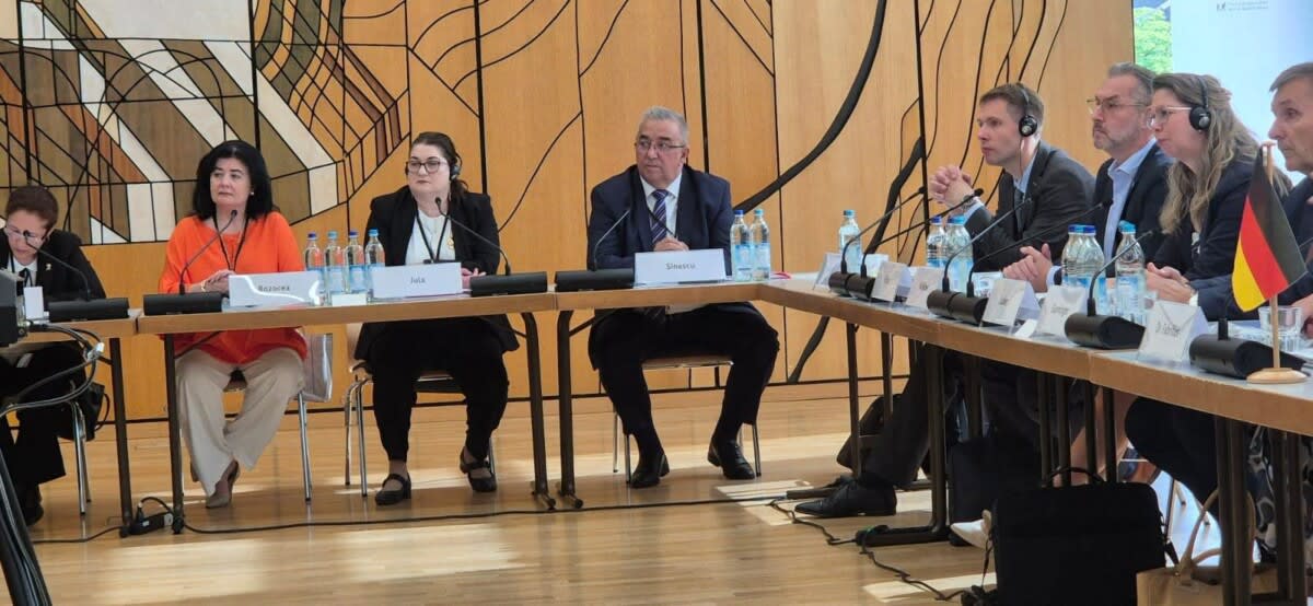 Florin Sinescu la Comisia Guvernamentală Mixtă Româno-Germană