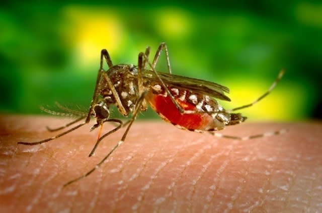 Medici și pacient în spital, alertă virus West Nile