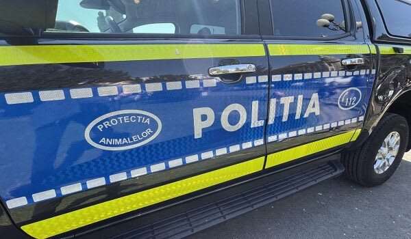 Polițiști protecția animalelor verificând un câine abandonat pe drum