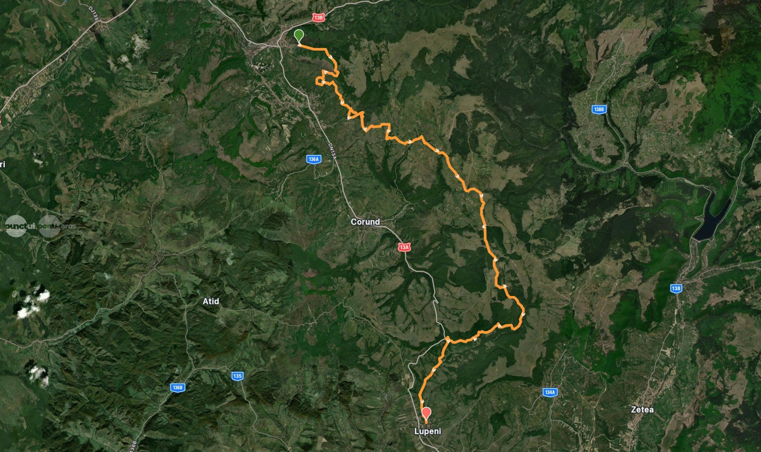 Mașină off-road traversând pădurea din traseul Praid–Lupeni