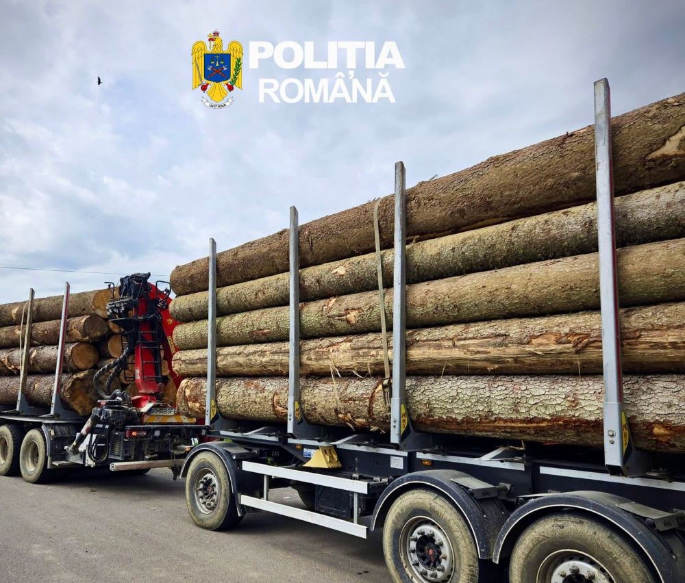 Polițiști și silvicultori verificând depozite de lemne în Vrancea Polițiști și silvicultori verificând depozite de lemne în Vrancea