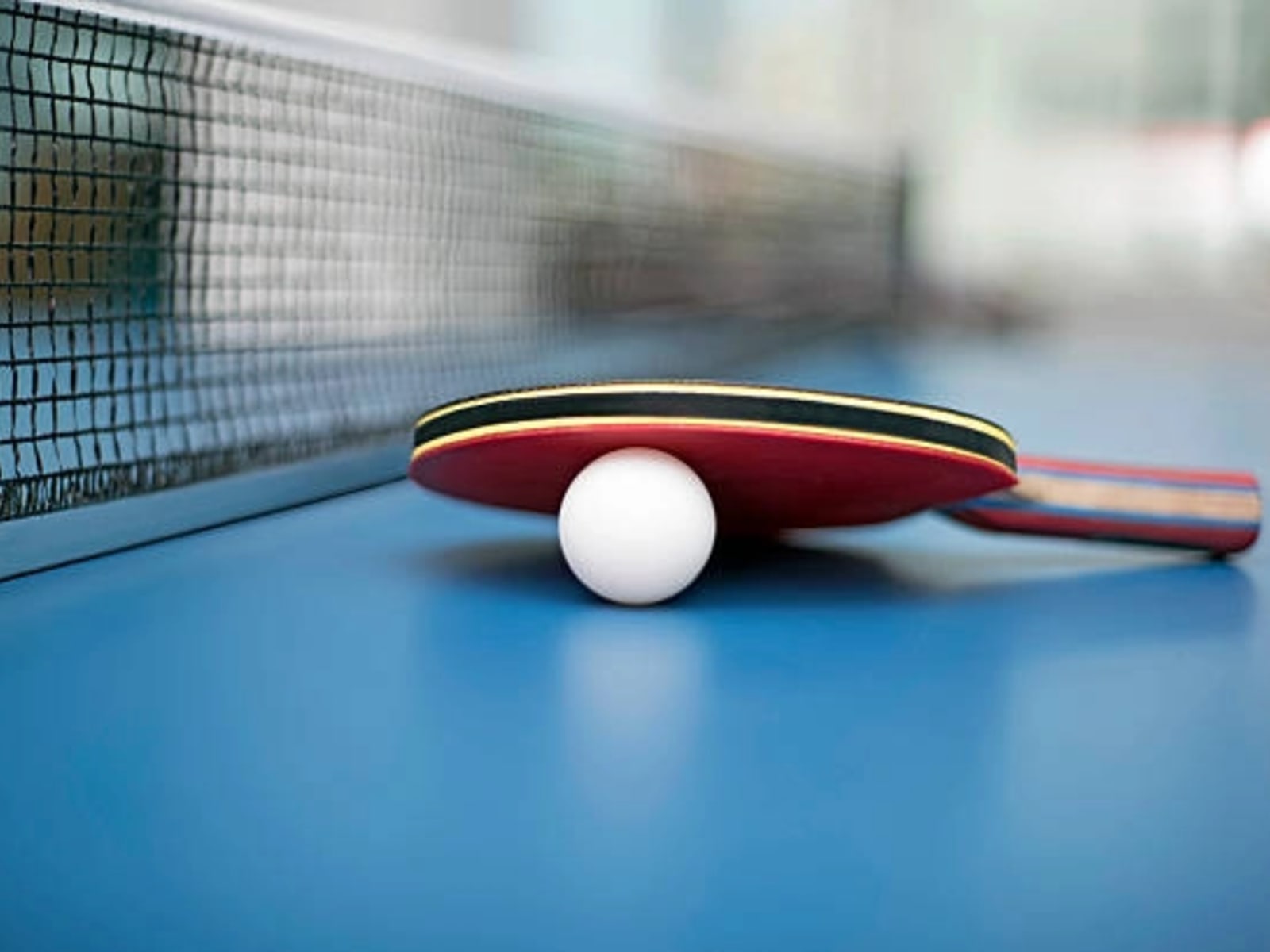 Echipa de tenis de masă în sală, jucători în acțiune, competiție europeană