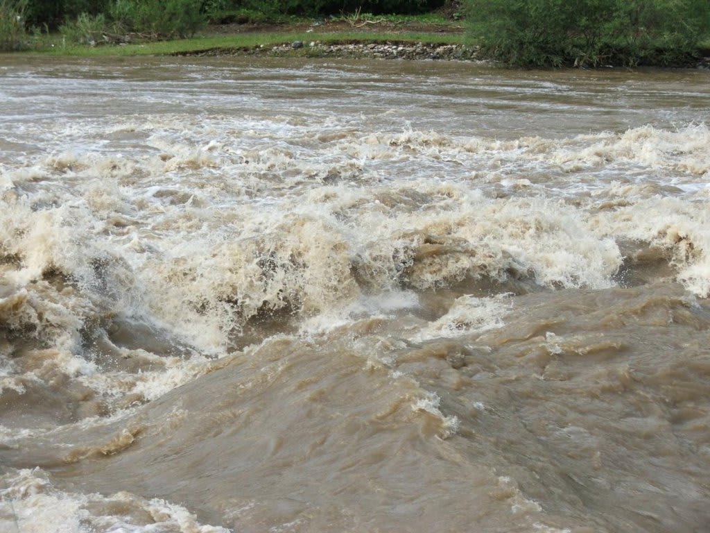 Râu învolburat cu apă mare în zona de luncă din Cluj Râu învolburat cu apă mare în zona de luncă din Cluj
