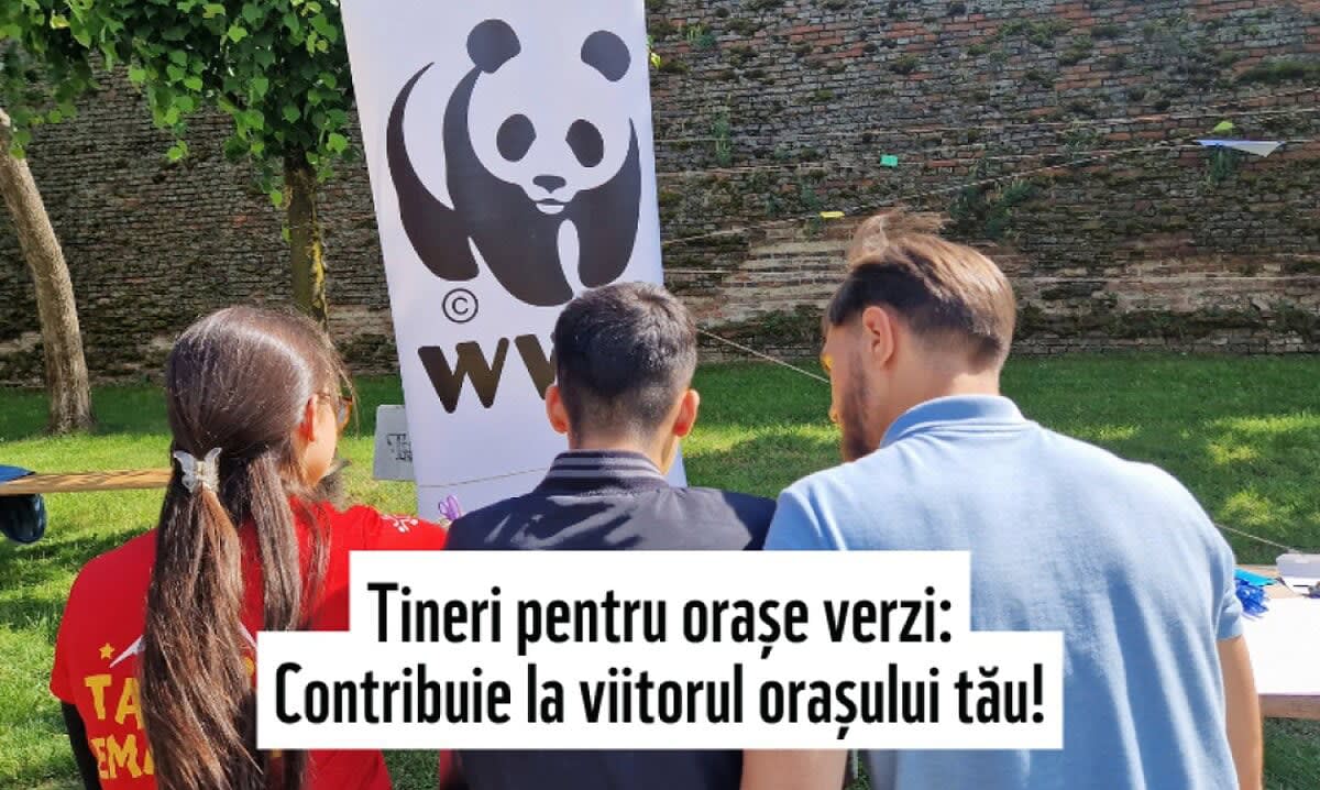 Tineri participând la atelier de soluții climatice în Alba Iulia