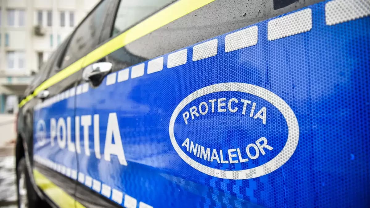 Polițist de protecția animalelor aplicând amendă unui bărbat