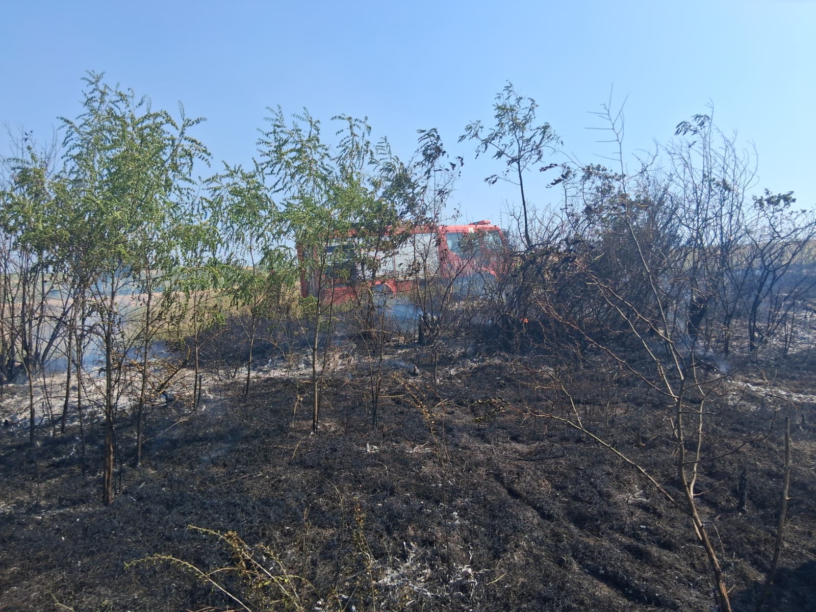 Pompieri din Vaslui stingând incendiu de vegetație uscată Pompieri din Vaslui stingând incendiu de vegetație uscată