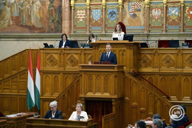 Forsthoffer Ágnes în Parlamentul României