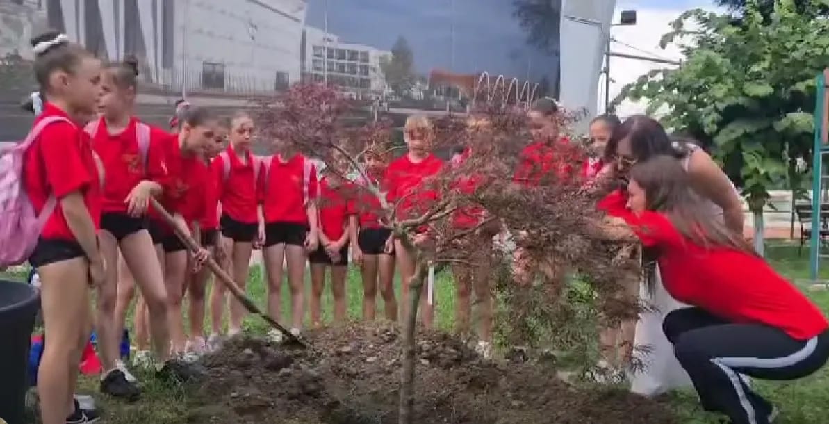 Gimnaste plantând un copac simbolic în Onești, România Gimnaste plantând un copac simbolic în Onești, România