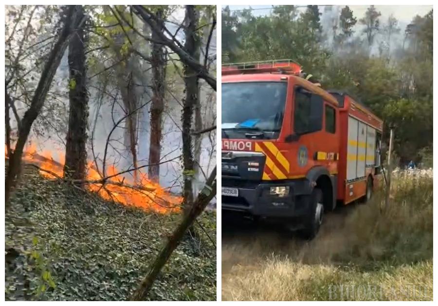 Pompieri stingând incendiu în pădurea din Spinuș, Bihor