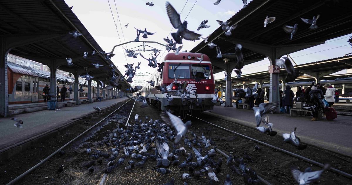 Locomotivă defectată pe șinele CFR între Caracal și Fărcășele