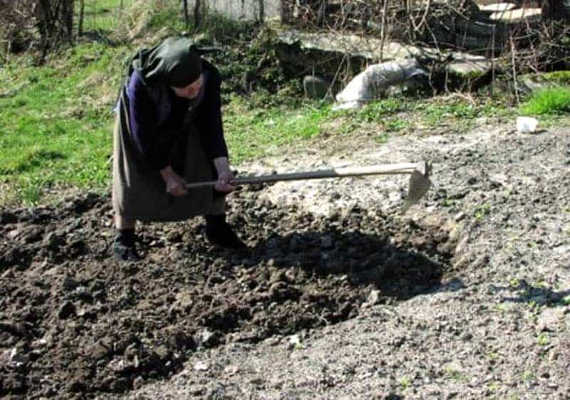 Cercetătorii dezvăluie secretele longevității: Ce fac centenarii diferit
