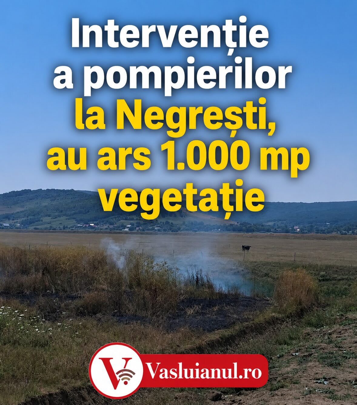 Pompieri din Negrești stingând un incendiu de vegetație uscată Pompieri din Negrești stingând un incendiu de vegetație uscată