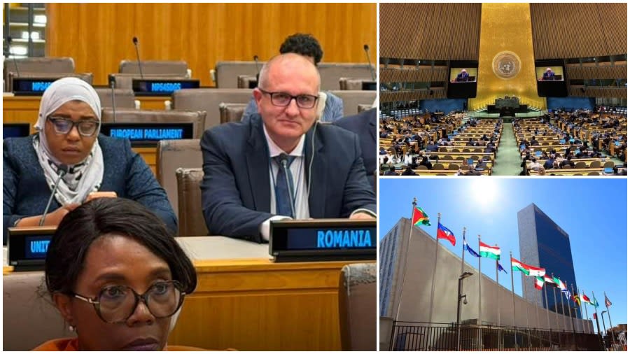 Deputat Vasile Budacă participând la Forumul ONU despre dezvoltarea durabilă