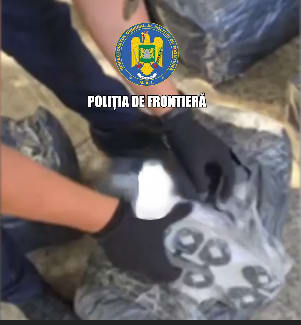 Polițiști de frontieră verificând autocare în Giurgiu
