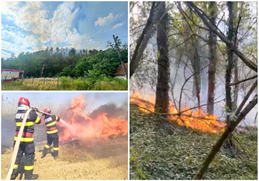 Nicușor Dan în discurs public, Palatul Cotroceni