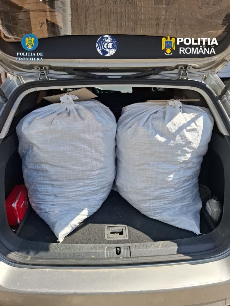 Polițiști de frontieră verificând autoutilitară cu droguri ascunse Polițiști de frontieră verificând autoutilitară cu droguri ascunse
