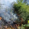 Pompieri din Bihor stingând incendii de vegetație uscată în pădure