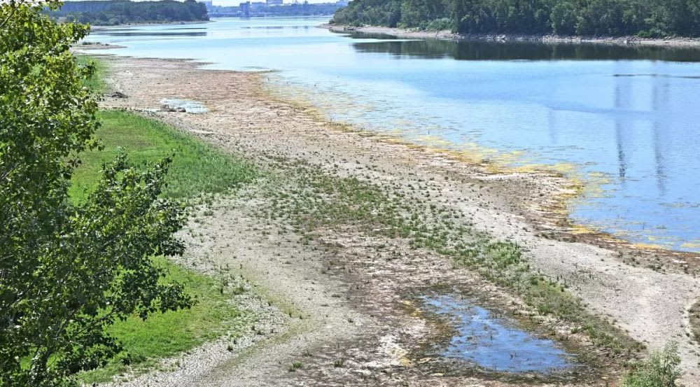 Fluviul Dunărea în scădere, pe malul deltei, în Tulcea