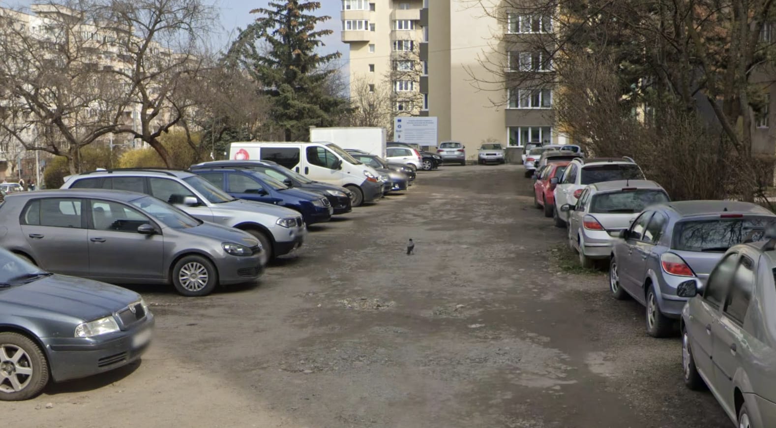 Locatari din Cluj-Napoca cerând soluții pentru parcarea din spatele parcului de câini