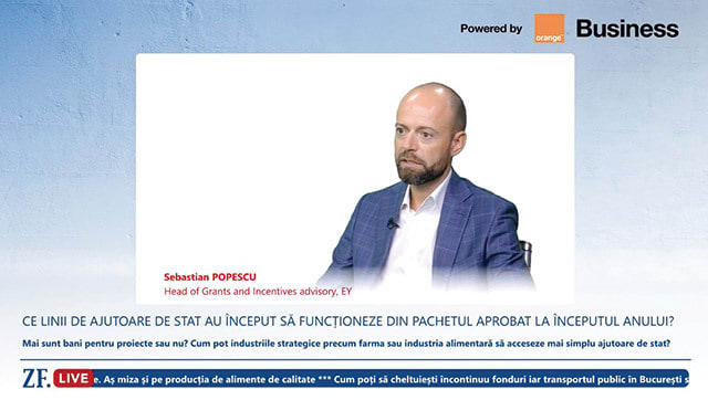 Reuniune de afaceri cu reprezentanți ai mediului economic românesc