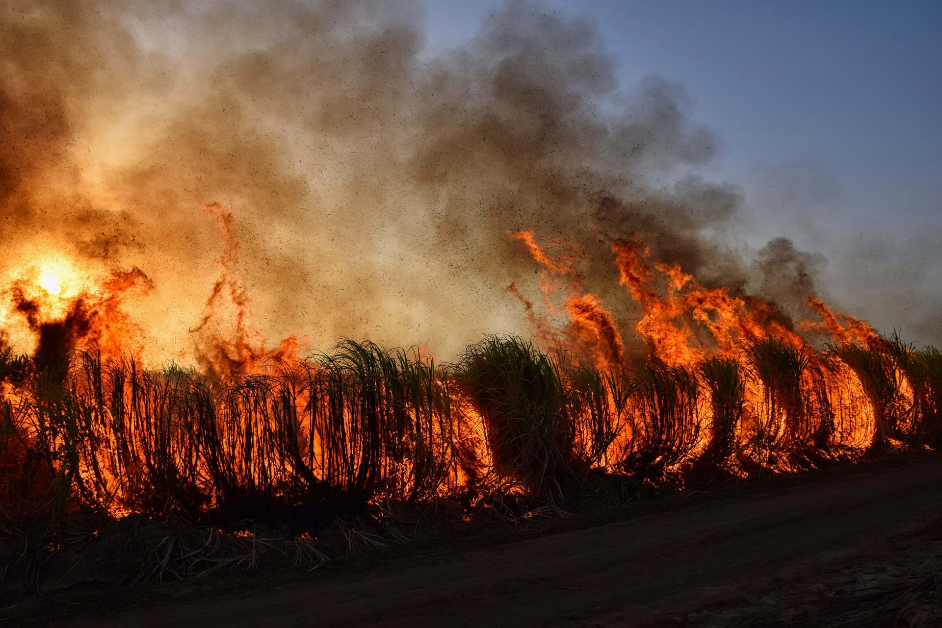 Fumul incendiilor forestiere, pompieri în acțiune, aer poluat