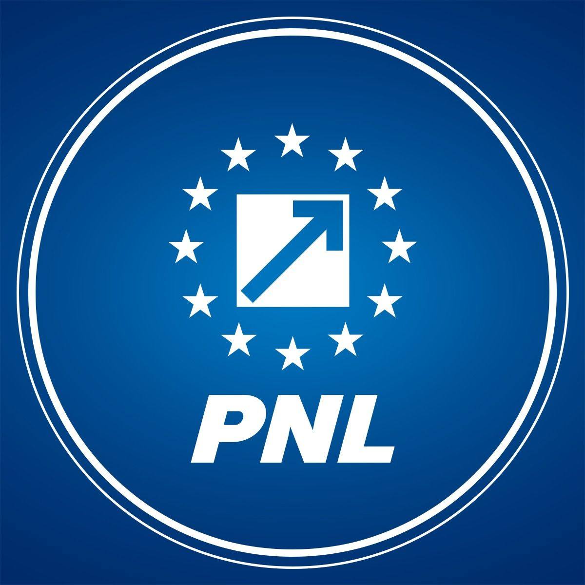 Lideri PNL în ședință, discuții despre alegeri interne