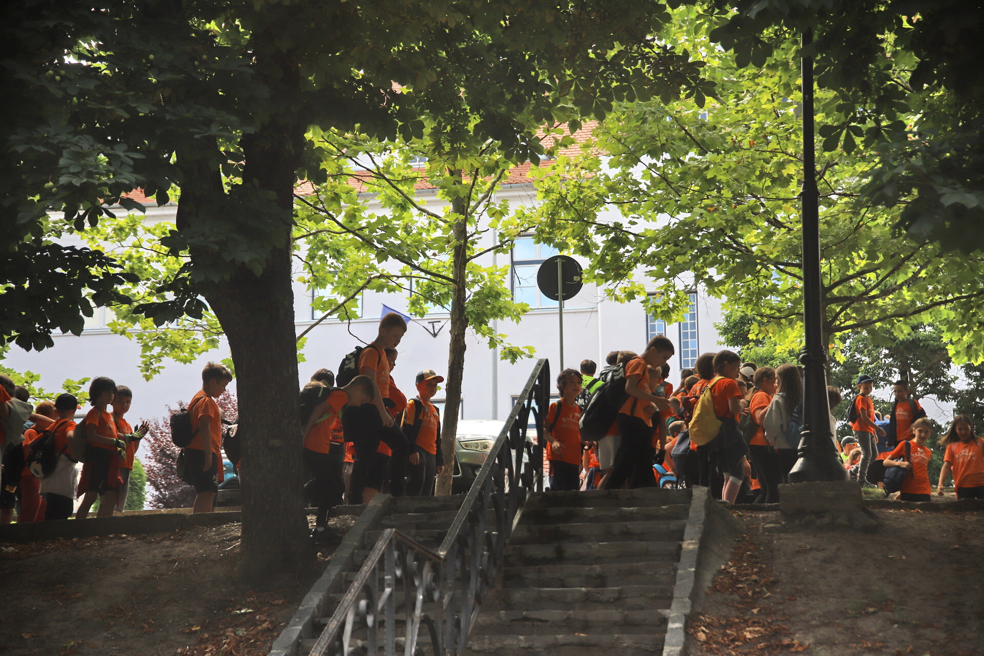 Activități culturale și sportive în Covasna