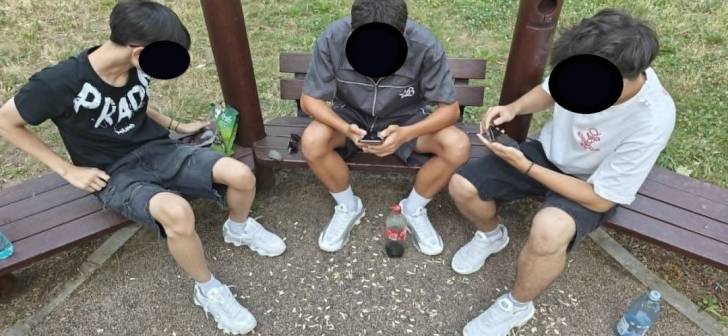 Polițiști locali aplicând amenzi în parcurile din Timișoara