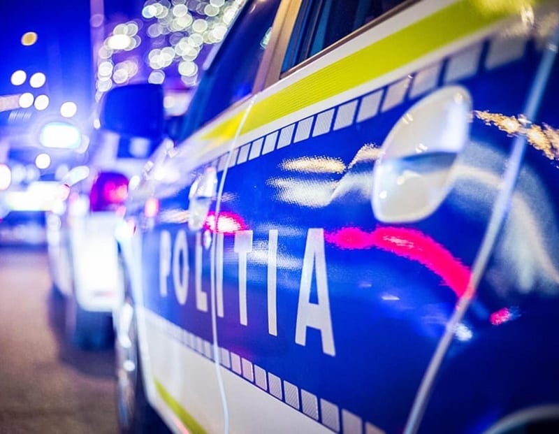 Polițiști în acțiune în Baia de Fier