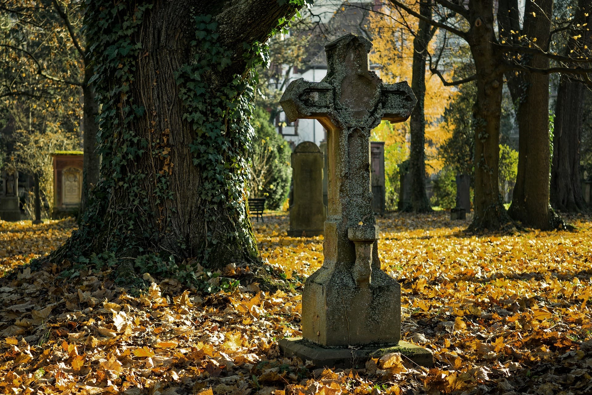 Echipamente de fitness în cimitirul din Viena, oameni antrenându-se printre morminte