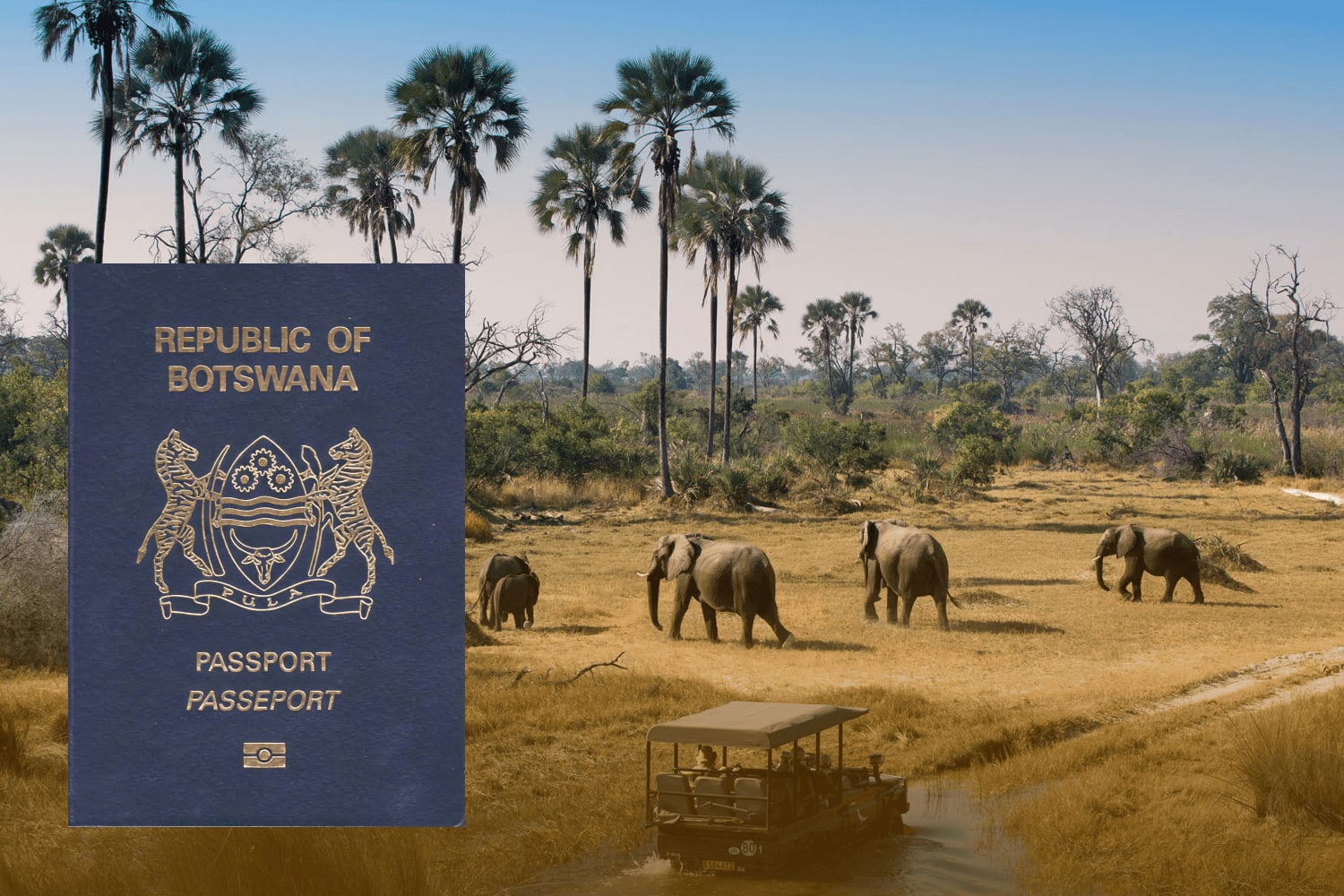 Delegatie Botswana vizitând Primăria Luduș