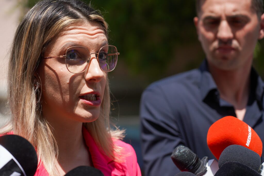 Ministrul Mediului, Diana Buzoianu, în timpul unei conferințe de presă
