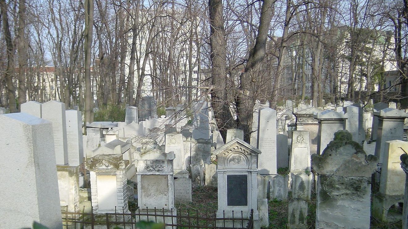 Cimitir din Viena cu echipamente de fitness în aer liber, copaci și zone verzi