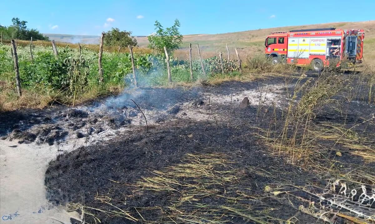 Incendiu de vegetație la Știubieni: Pompierii au intervenit pentru stingerea flăcărilor