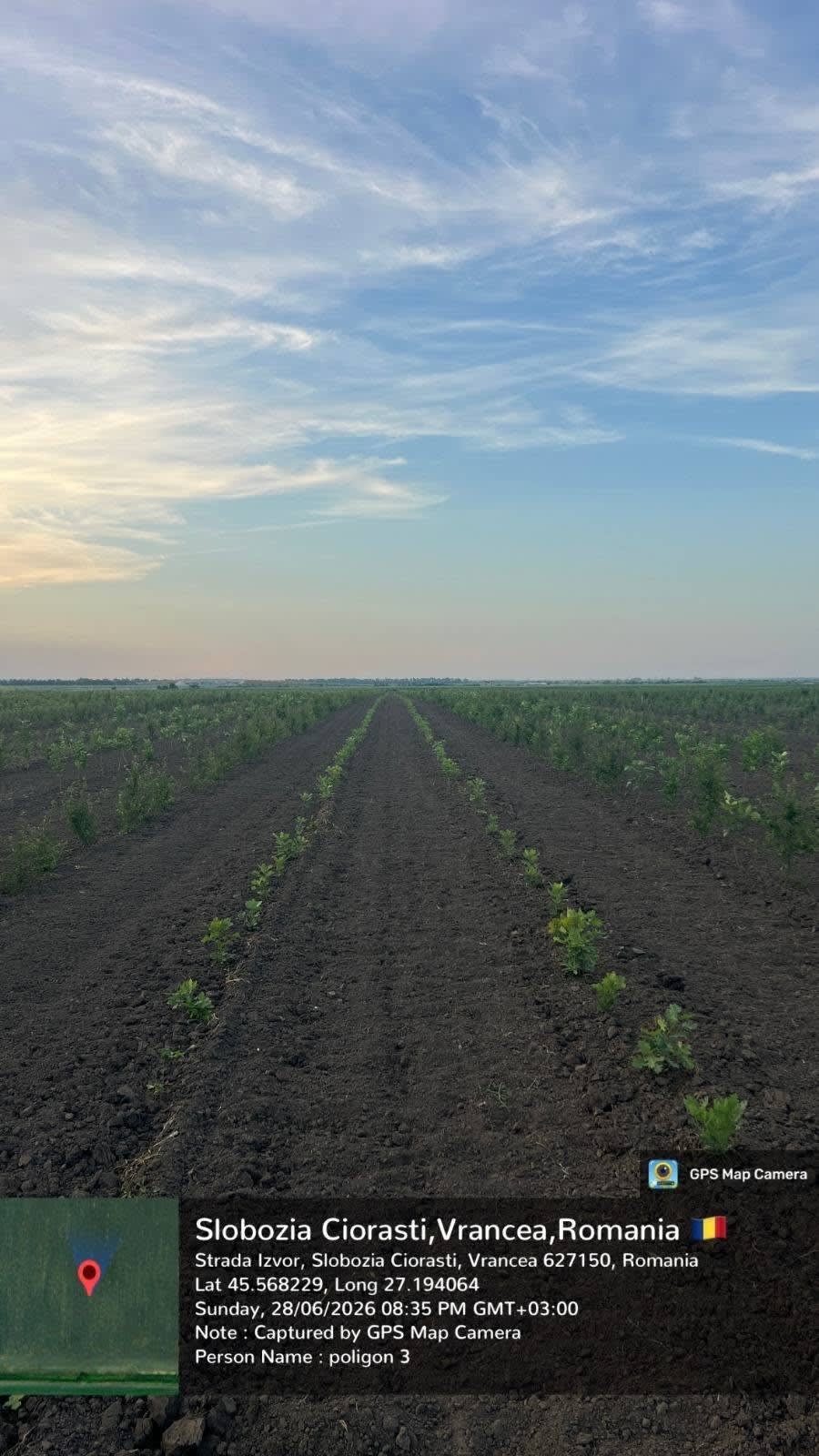 Garda Forestieră Focșani în acțiune, verificare plantații forestiere