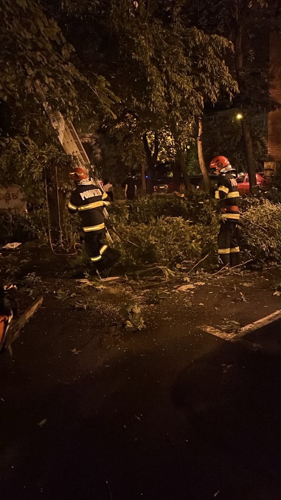 Pompieri în acțiune în Craiova după furtună, cu autospeciale și copaci căzuți