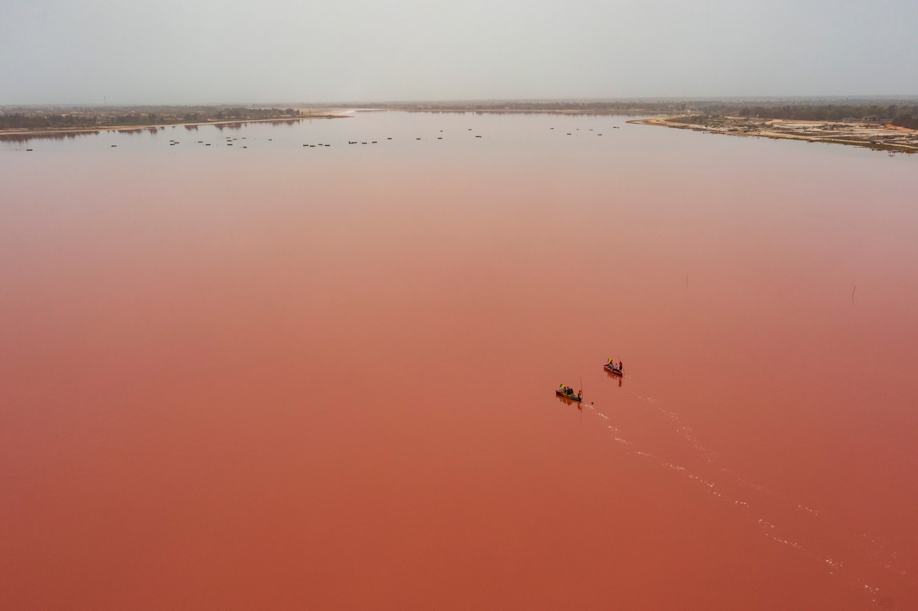 Lacul Roz din Senegal cu apă roz și culegători de sare