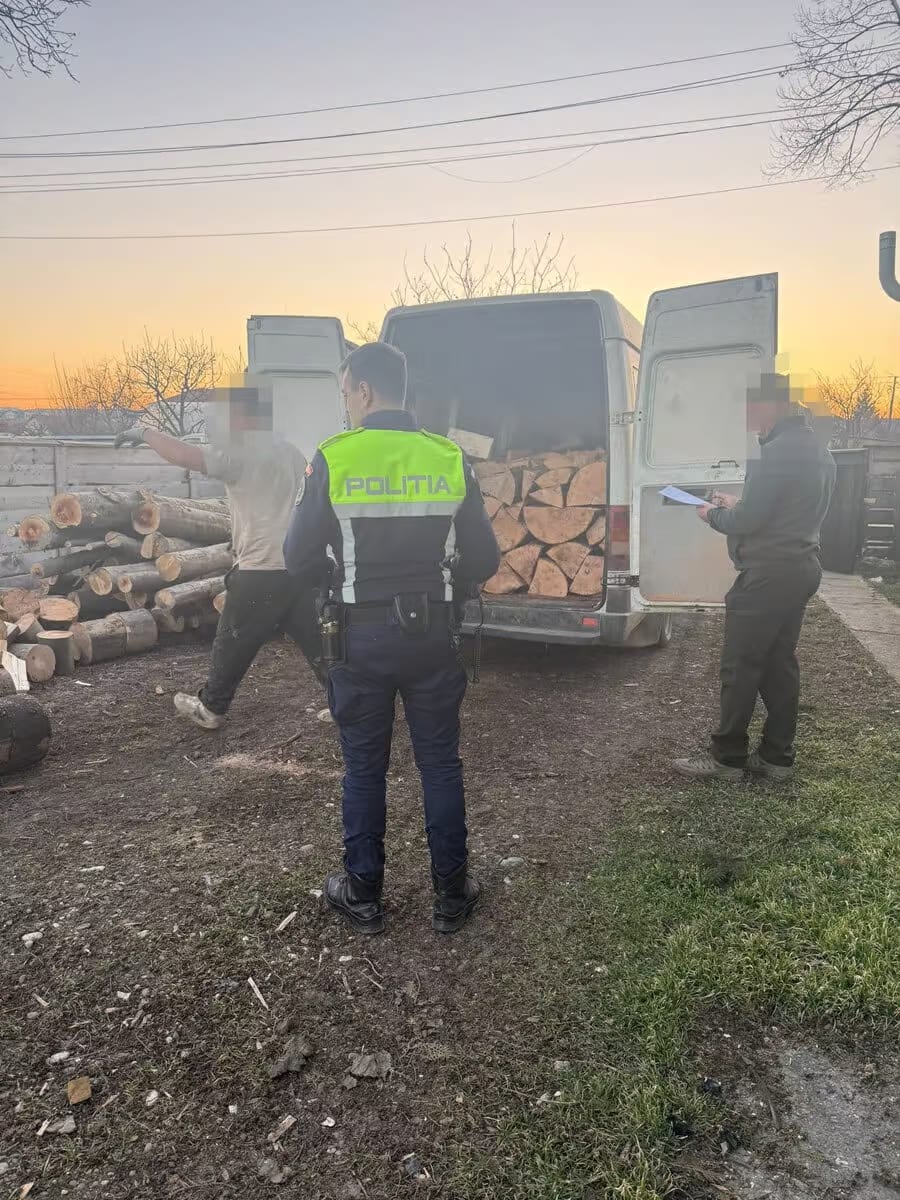 Transport ilegal de lemne la Flămânzi: Șofer din Suceava amendat cu 6.000 de lei Transport ilegal de lemne la Flămânzi: Șofer din Suceava amendat cu 6.000 de lei