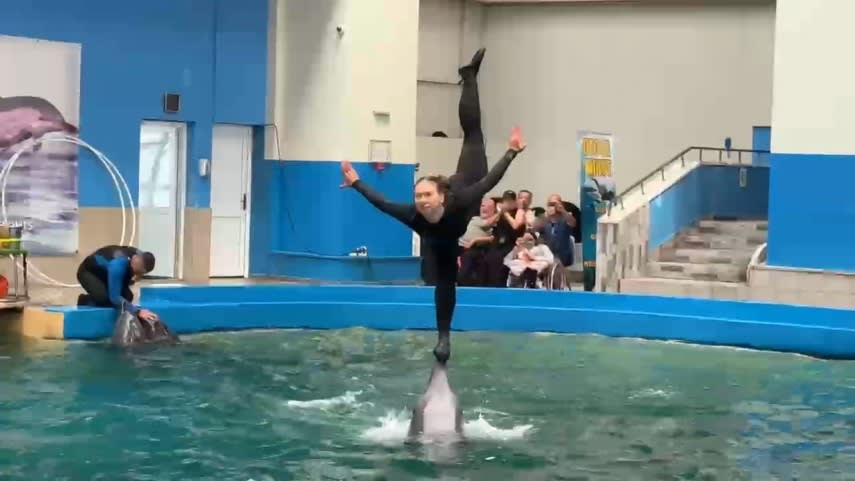 Delfini în piscină la Delfinariul din Constanța, spectatori în tribune