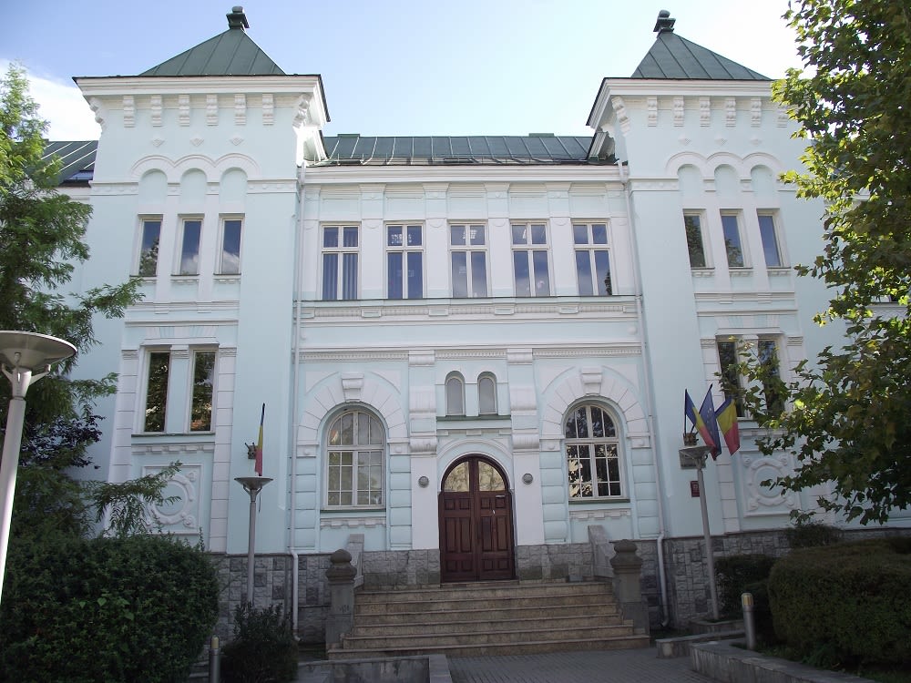 Familiă cu doi copii mici în casă, fără apă potabilă, în Bujoreni, Vâlcea